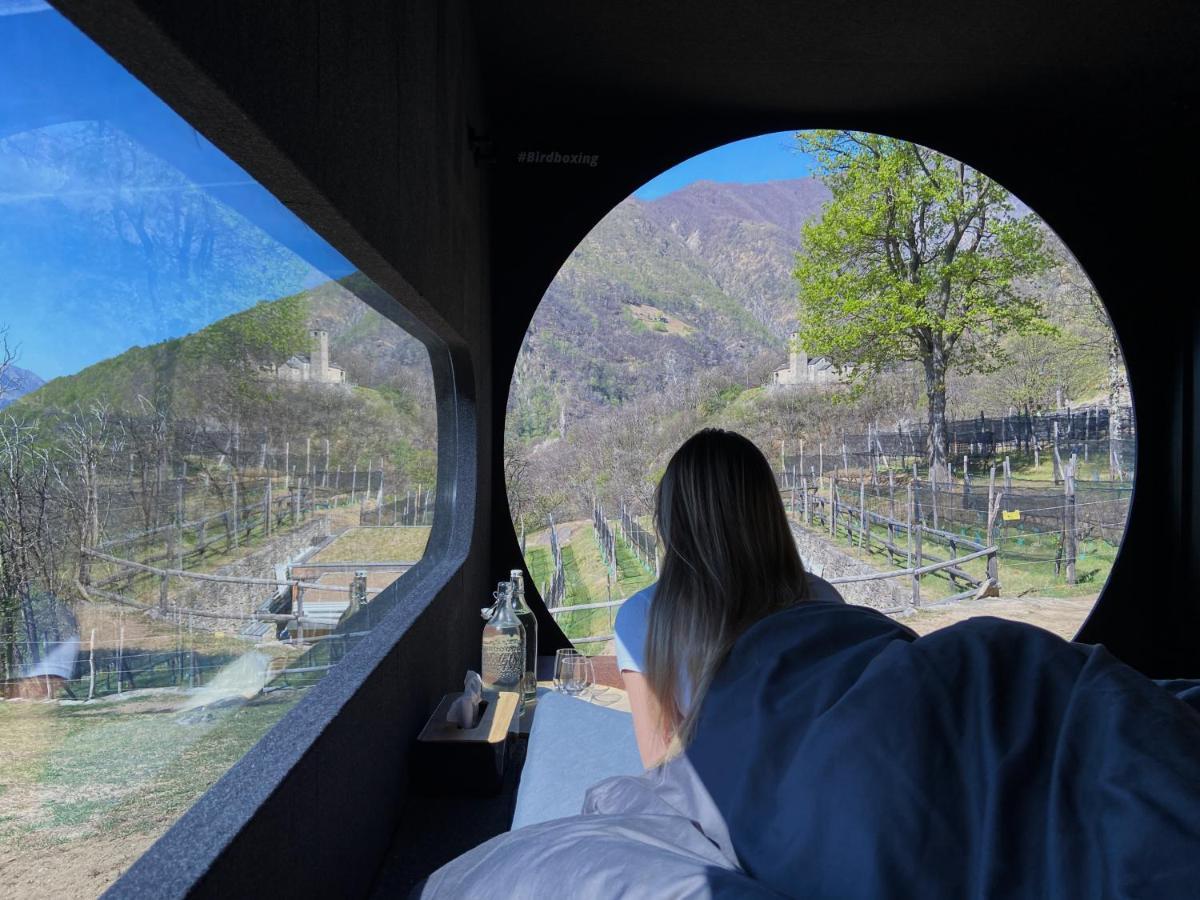 Hotel Birdbox Curzutt Monte Carasso Zewnętrze zdjęcie