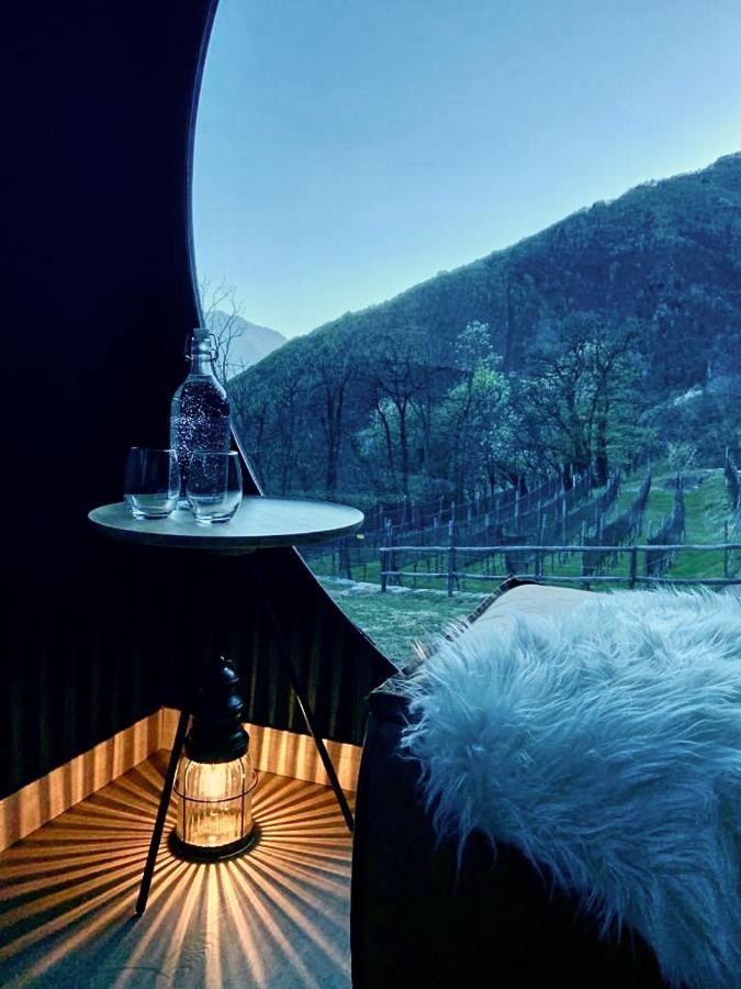 Hotel Birdbox Curzutt Monte Carasso Zewnętrze zdjęcie
