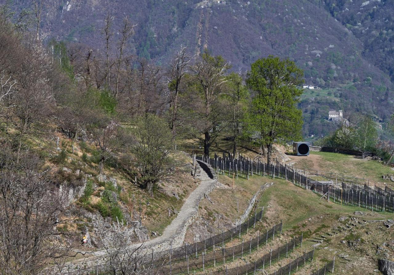 Hotel Birdbox Curzutt Monte Carasso Zewnętrze zdjęcie