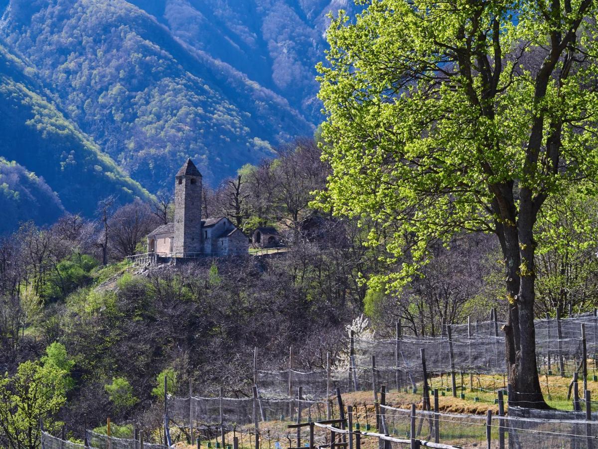 Hotel Birdbox Curzutt Monte Carasso Zewnętrze zdjęcie