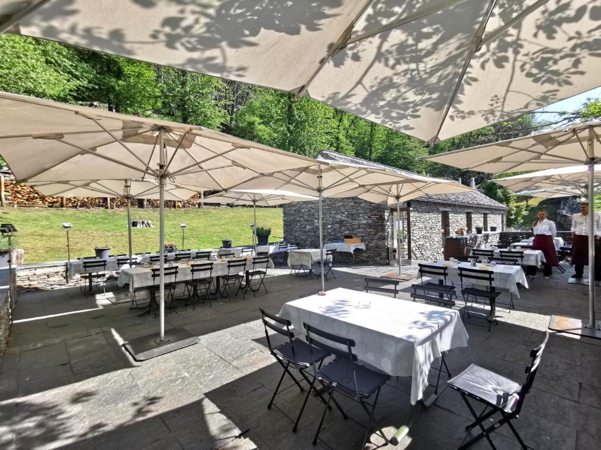 Hotel Birdbox Curzutt Monte Carasso Zewnętrze zdjęcie